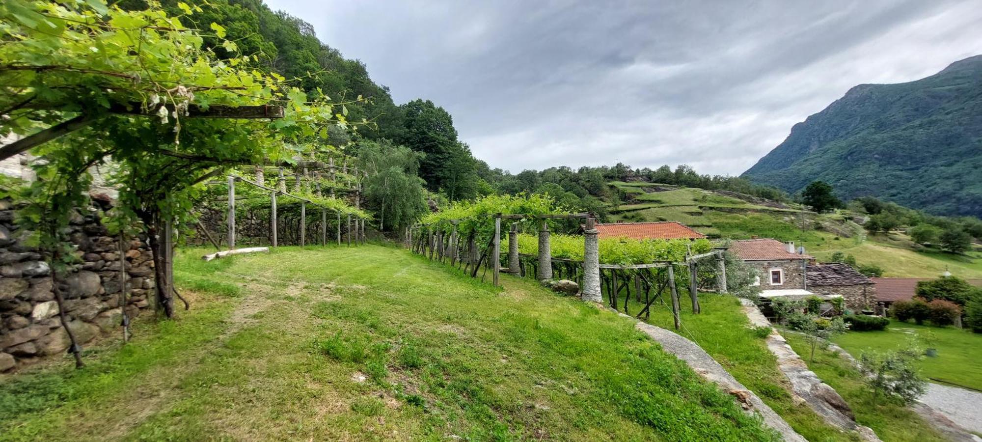 Relais Del Brigante Bed and Breakfast Settimo Vittone Eksteriør billede